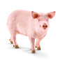 Schleich 17071 Cochon – Figurine Farm World