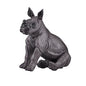 Animal Planet Figurine Bébé Rhinocéros